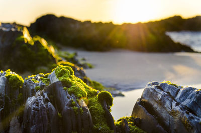 Close-up of rocks against sky during sunset