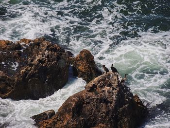 Panoramic view of rocks in sea