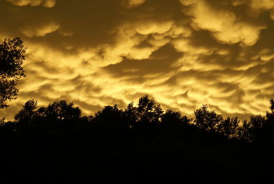 Silhouette trees against sky during sunset