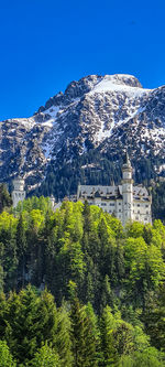 Scenic view of trees and buildings against clear blue sky