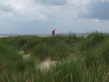 Langeoog  island