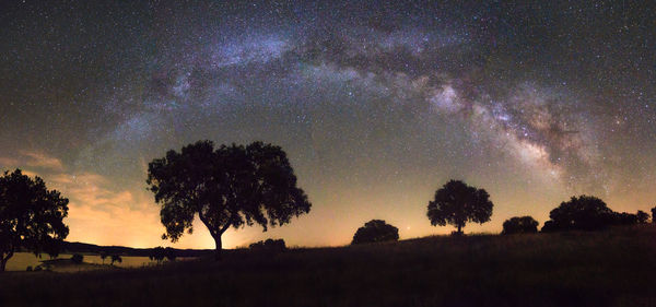 Silhouette trees on field against sky at night