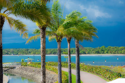 Palm tree by swimming pool against sky