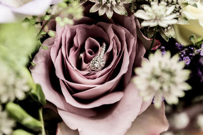 Close-up of rose bouquet