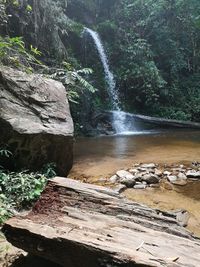 waterfall