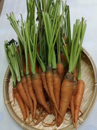 High angle view of vegetables on table