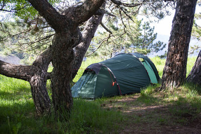 Tent in forest