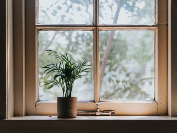 Close-up of potted plant on window sill