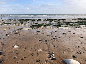 Scenic view of beach against sky