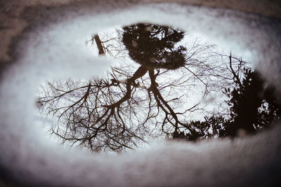 Low angle view of bare tree against cloudy sky