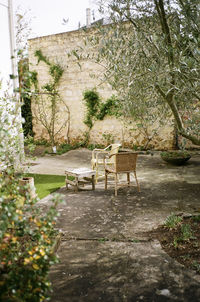 Bench on footpath by trees against building