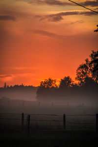 Scenic view of silhouette trees against orange sky