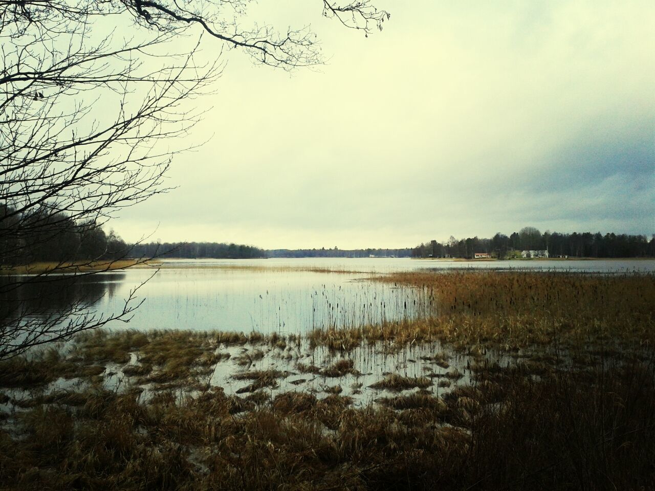 water, lake, tranquil scene, tranquility, sky, scenics, beauty in nature, tree, reflection, nature, lakeshore, cloud - sky, idyllic, grass, bare tree, calm, non-urban scene, outdoors, cloud, countryside