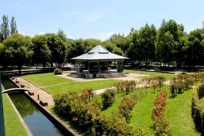 Trees growing in park