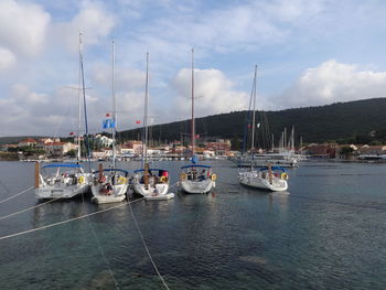 Sailboats moored in marina