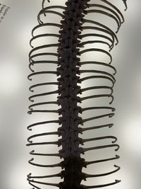 spiral