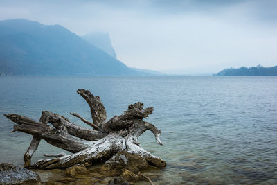 Driftwood on sea by mountains against sky