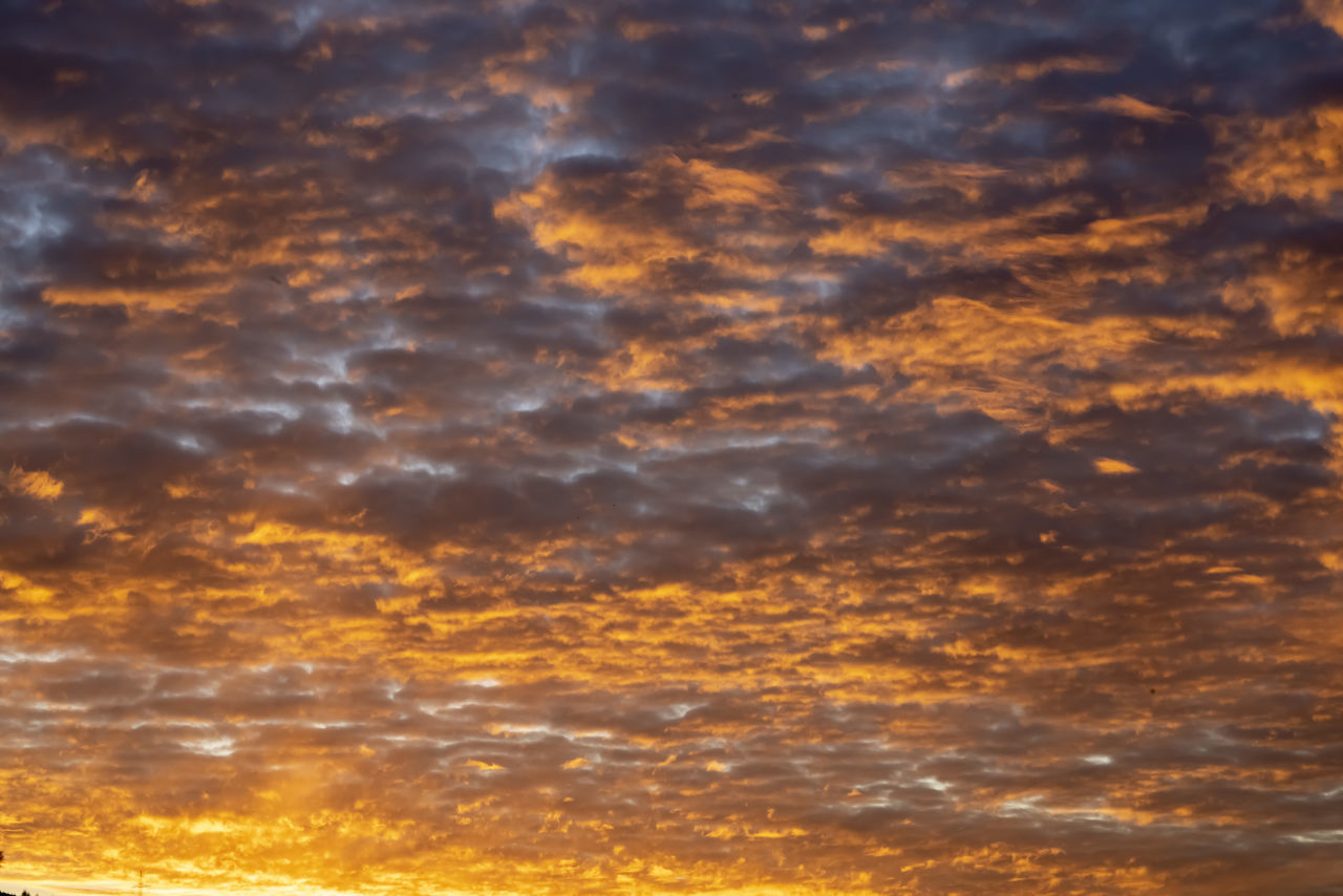 LOW ANGLE VIEW OF CLOUDS IN SKY DURING SUNSET