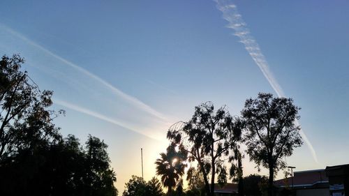 Low angle view of trees against blue sky