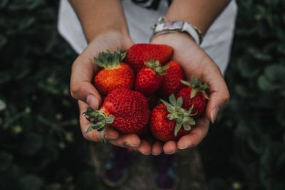 Close-up of woman holding fruits