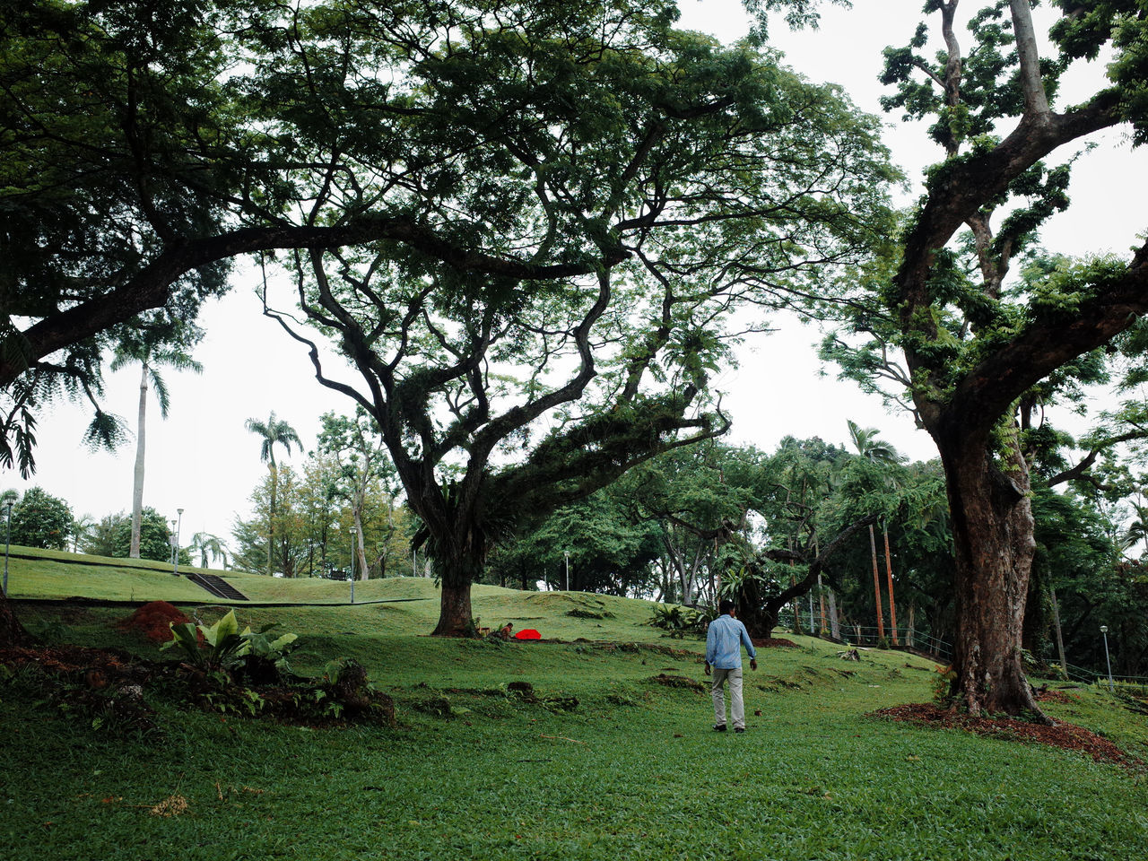 Park in singapore