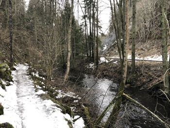 Scenic view of waterfall in forest during winter