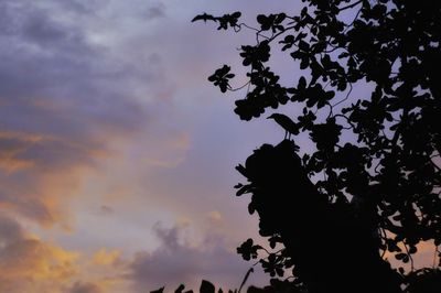 Low angle view of silhouette trees against sky