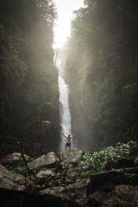 Man surfing on waterfall in forest