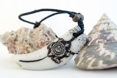 Close-up of pendant and shells against white background