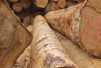 Full frame shot of firewood