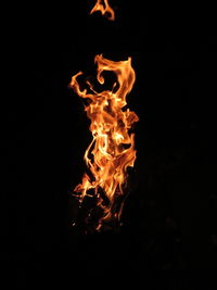 Close-up of bonfire against black background