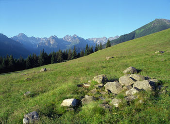 Scenic view of green landscape and mountains against blue sky