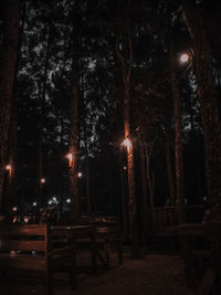 Empty bench by illuminated trees at night