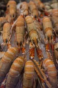 High angle view of food for sale in market