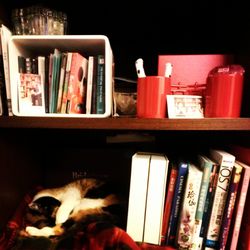 View of books in shelf