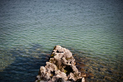 High angle view of rock in sea