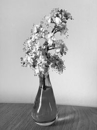 Close-up of white flower vase on table against wall