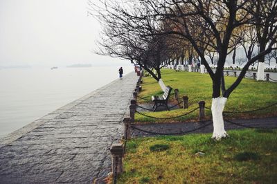 People walking on footpath