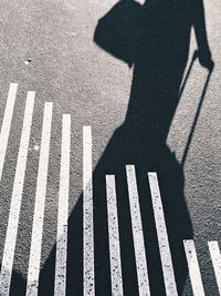 Shadow of person with luggage on street