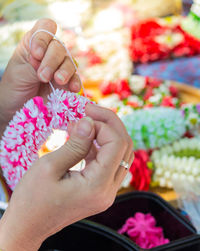 Close-up of woman hand holding red flowering plant
