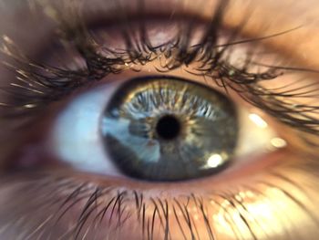 Cropped image of person eye