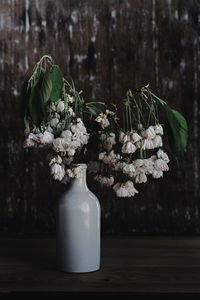 Close-up of flowering plant in vase on table