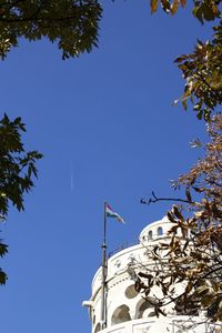 Low angle view of bird against clear blue sky