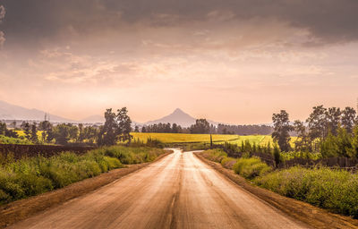 Road amidst plants against sky during sunset