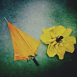 Close-up of yellow flowers