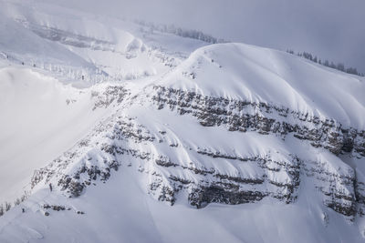 Aerial view of snow covered land