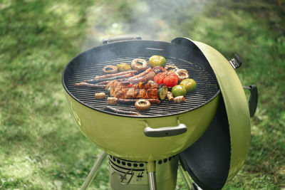 Meat on skewers with the vegetables on the barbecue grill