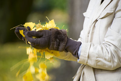 Close-up of hand holding yellow flower