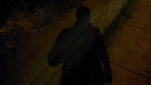 Rear view of silhouette man standing at night