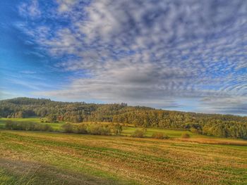 Scenic view of agricultural field against sky